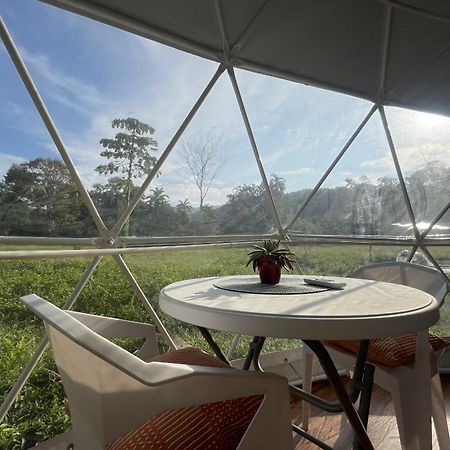 La Comarca River Glamping Dome Near Manuel Antonio Exteriér fotografie