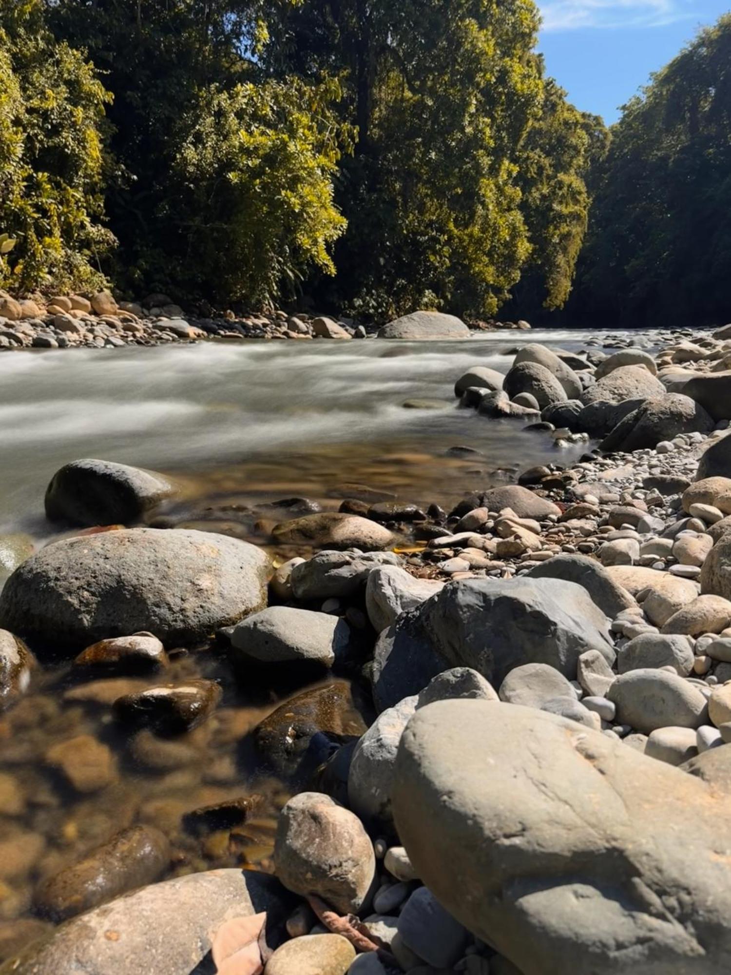 La Comarca River Glamping Dome Near Manuel Antonio Exteriér fotografie